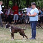 Hanuta von den Schaephuysener Höhen Hanau 2018