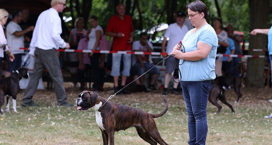 Hanuta von den Schaephuysener Höhen Hanau 2018