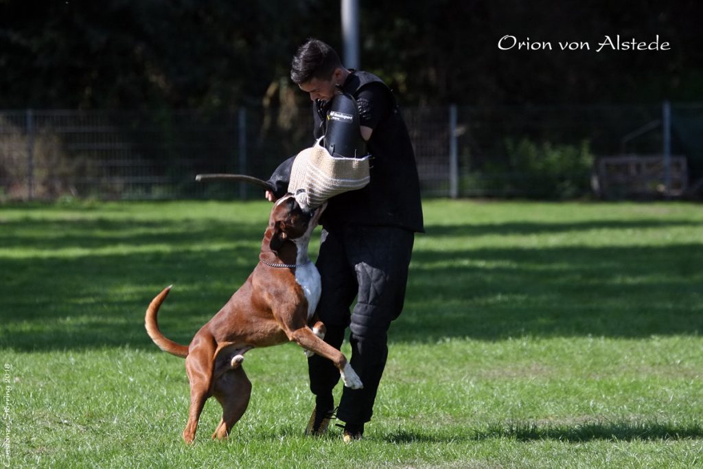 Qualifikationsprüfung 2018 in der Gruppe Kempen