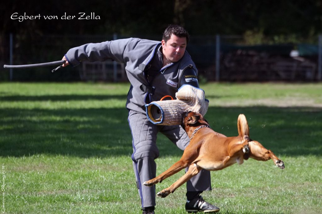 Qualifikationsprüfung 2018 in der Gruppe Kempen