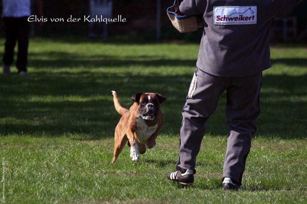 Qualifikationsprüfung 2018 in der Gruppe Kempen