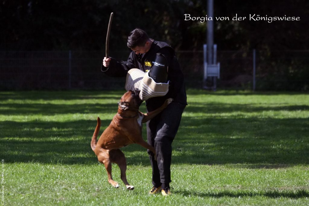 Qualifikationsprüfung 2018 in der Gruppe Kempen