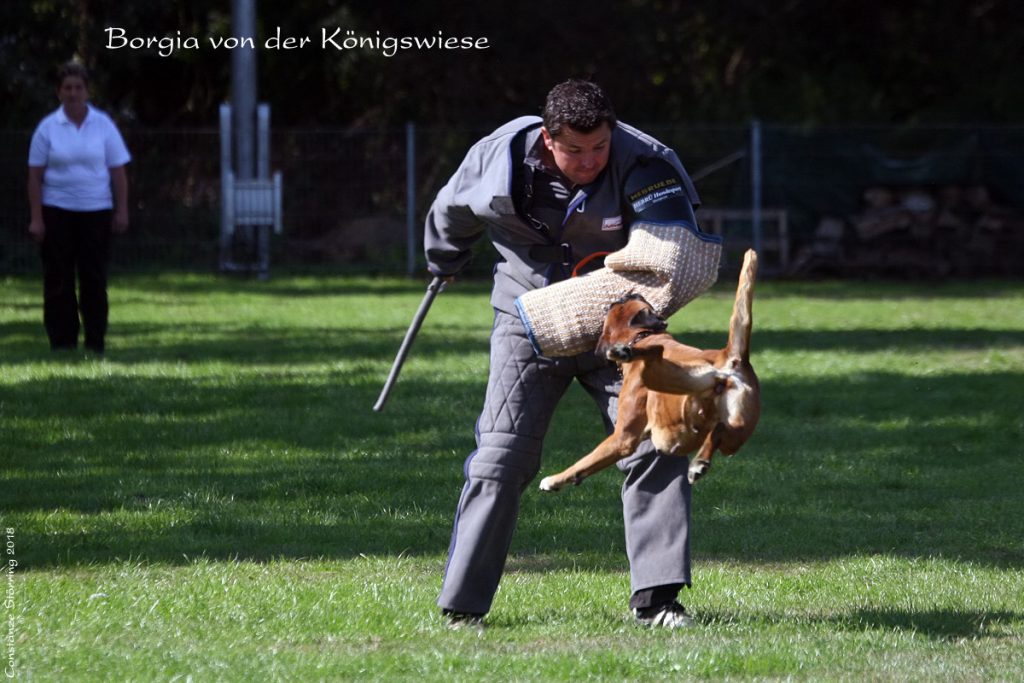 Qualifikationsprüfung 2018 in der Gruppe Kempen