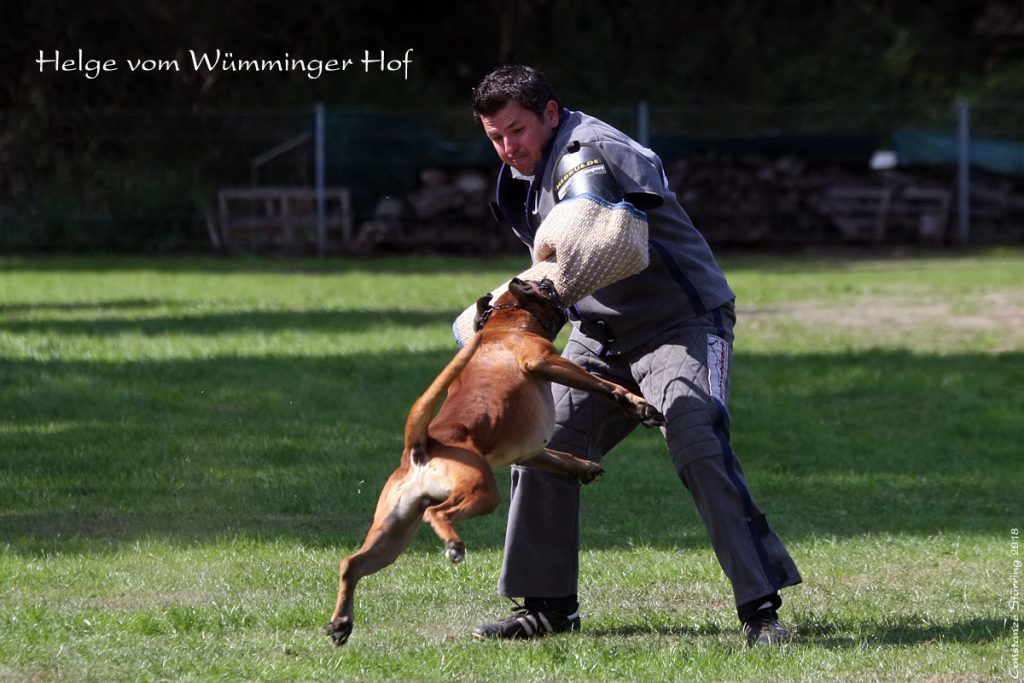 Qualifikationsprüfung 2018 in der Gruppe Kempen