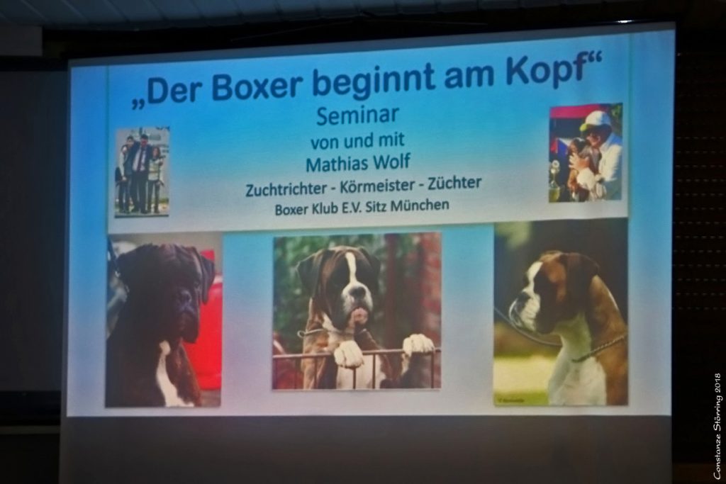 Seminar "Der Kopf des Boxers"