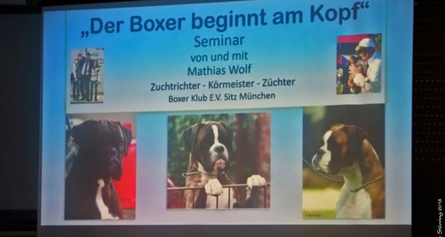 Seminar "Der Kopf des Boxers"
