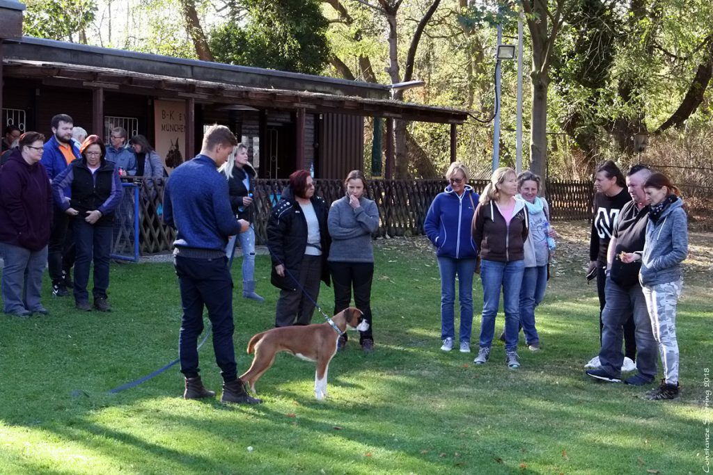 Seminar "Der Kopf des Boxers"