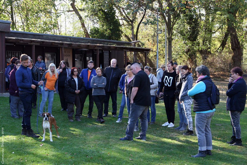 Seminar "Der Kopf des Boxers"