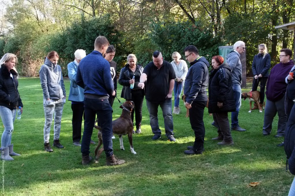 Seminar "Der Kopf des Boxers"