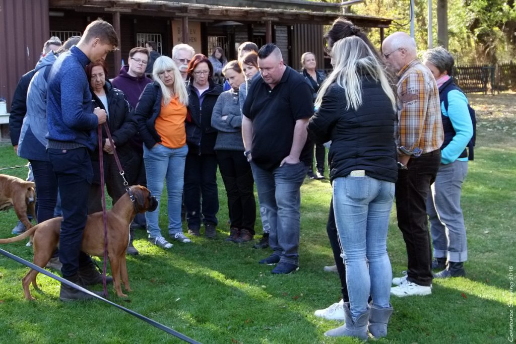 Seminar "Der Kopf des Boxers"