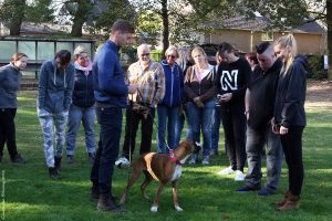 Seminar "Der Kopf des Boxers"