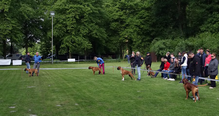 LG-Ausstellung 2019 Möchengladbach