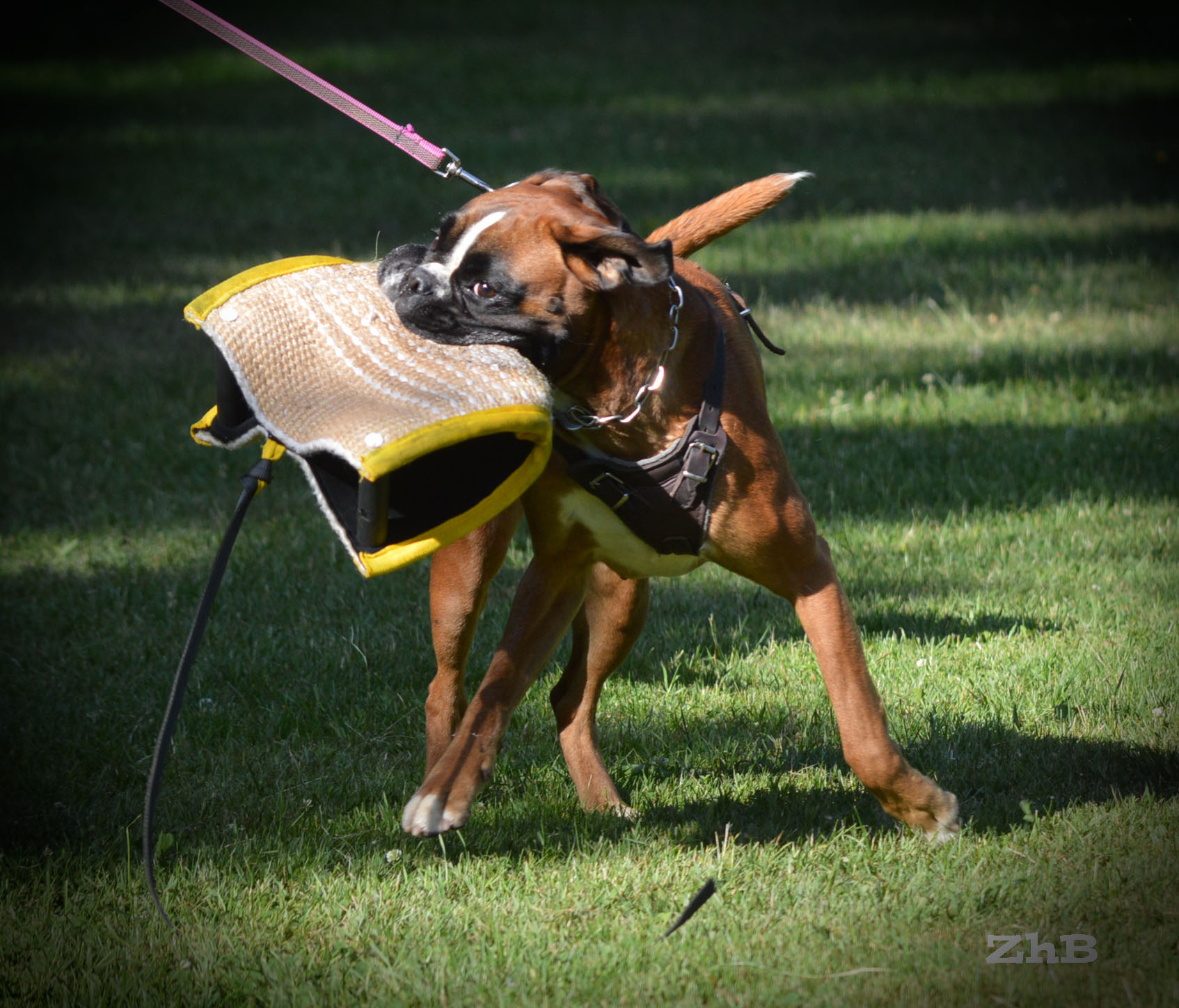 Erfolgreicher mit Lehrhelfer Alexander Barthel