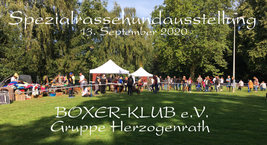 Spezialrassehundeausstellung in Herzogenrath am 13.09.2020