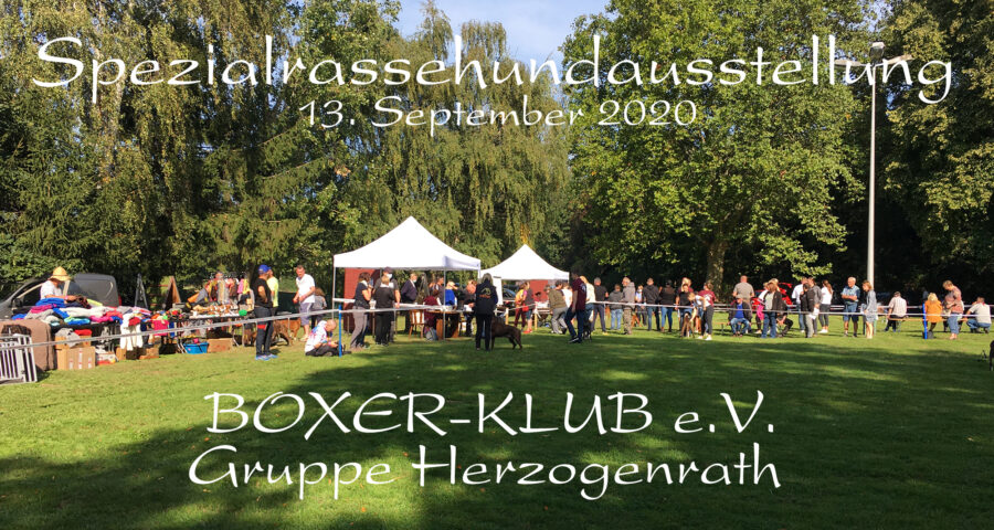 Spezialrassehundeausstellung in Herzogenrath am 13.09.2020