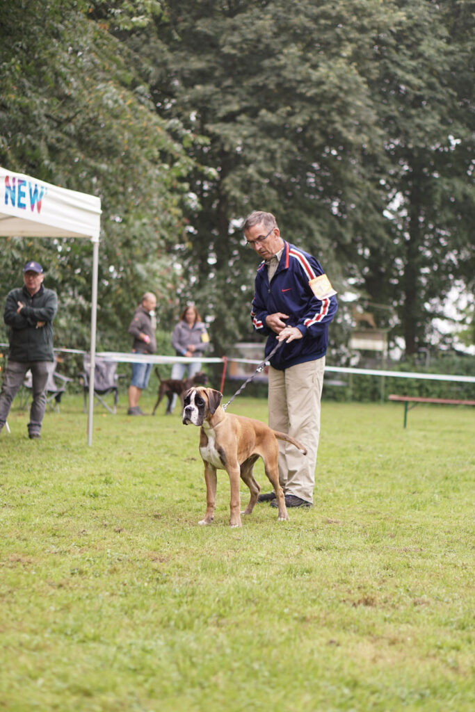 Spezial-Rassehunde-Ausstellung am 04.09.2021 in Mönchengladbach