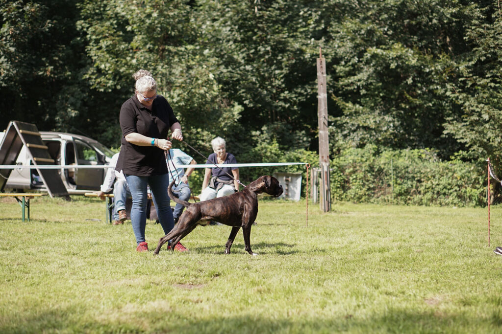 Spezial-Rassehunde-Ausstellung am 04.09.2021 in Mönchengladbach