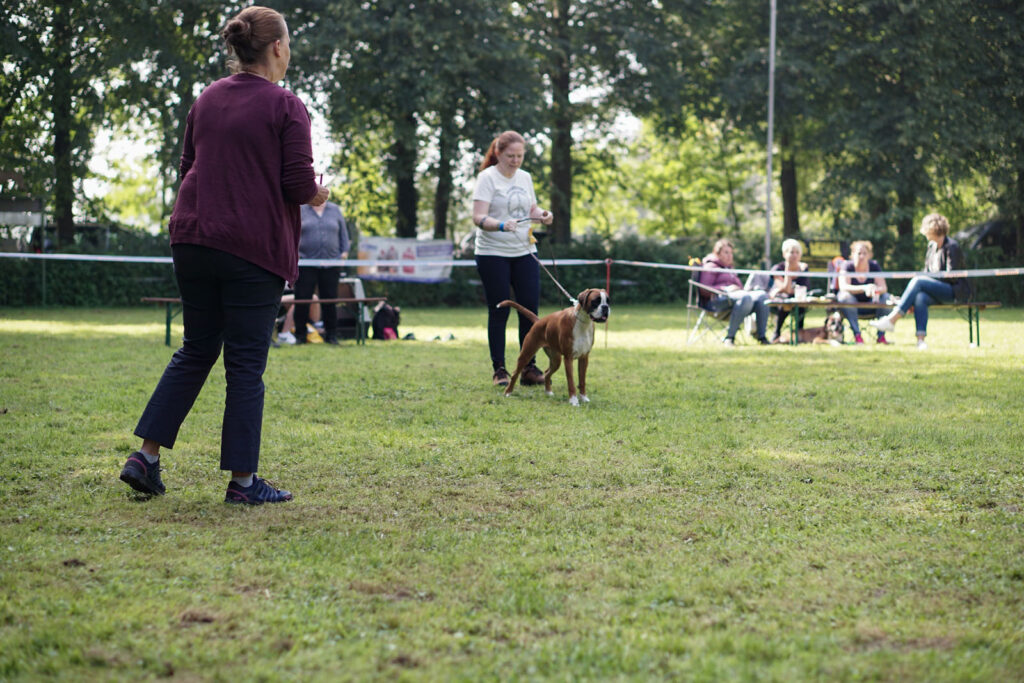 Spezial-Rassehunde-Ausstellung am 04.09.2021 in Mönchengladbach