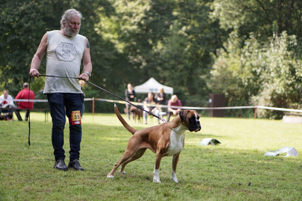 Spezial-Rassehunde-Ausstellung am 04.09.2021 in Mönchengladbach