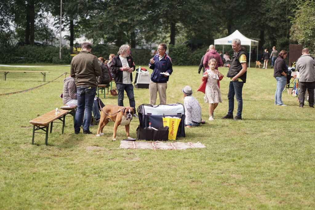 Spezial-Rassehunde-Ausstellung am 04.09.2021 in Mönchengladbach