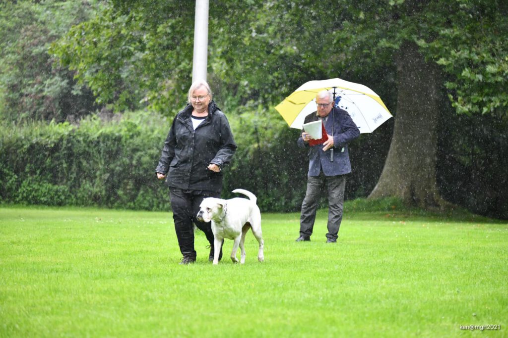 Qualifikationsprüfung in der Gruppe Herzogenrath am 29.08.2021