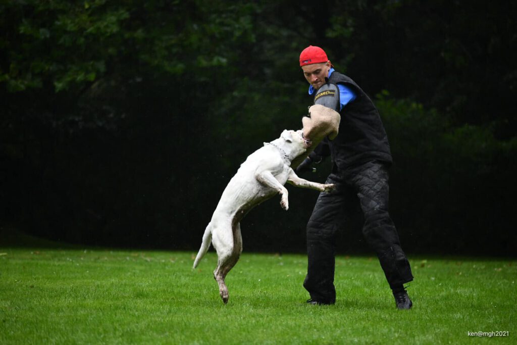 Qualifikationsprüfung in der Gruppe Herzogenrath am 29.08.2021