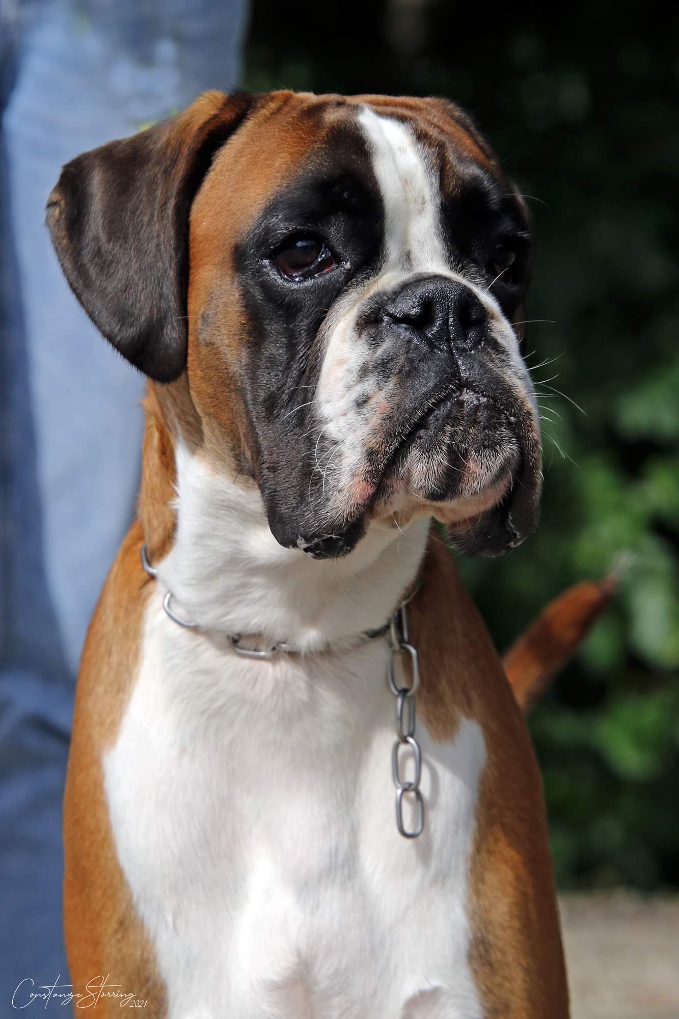 Yakari ist Jahresjugendsieger Schweiz