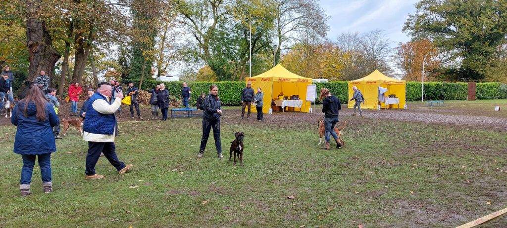 Doppelausstellung Krefeld Oktober 2021