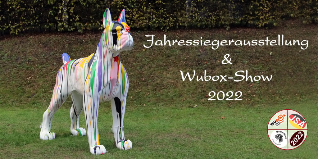 Jahressieger / WUBOX 2022