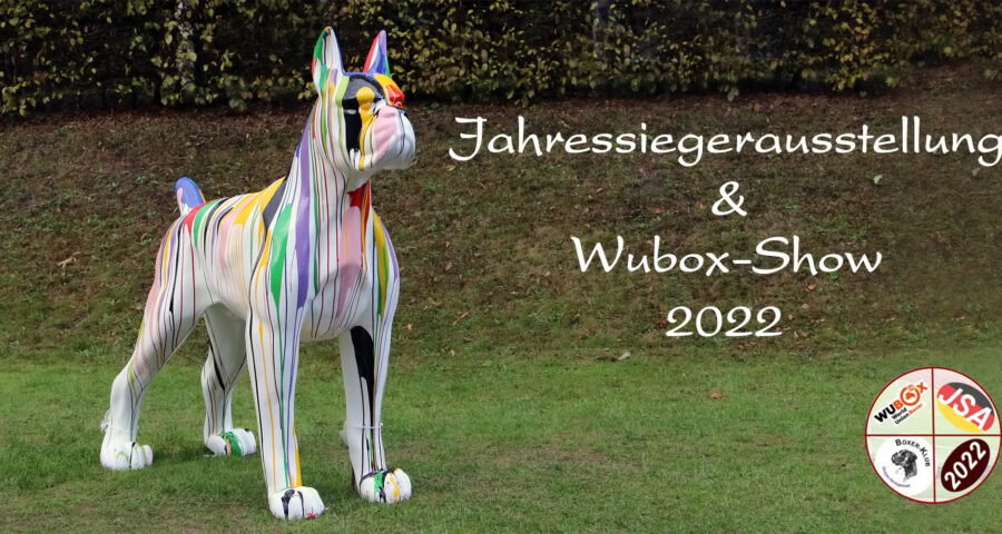 Jahressieger / WUBOX 2022