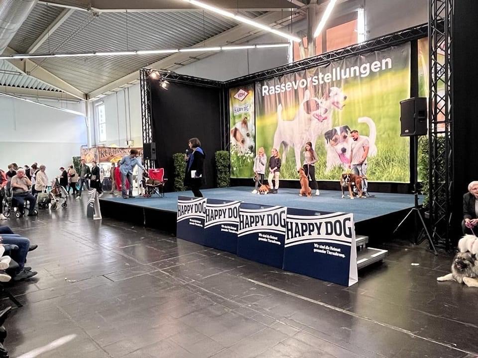 Rassepräsentation bei den VDHAusstellungen in Dortmund