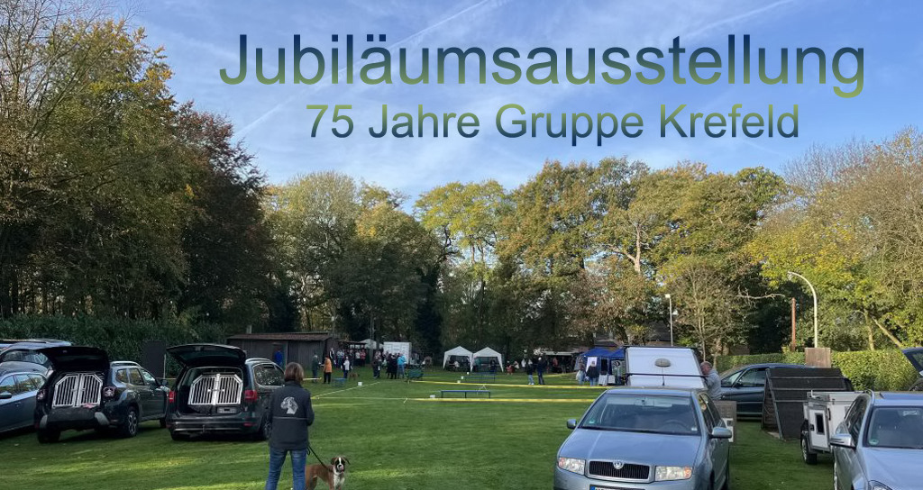 Ausstellung Krefeld 75 Jahre