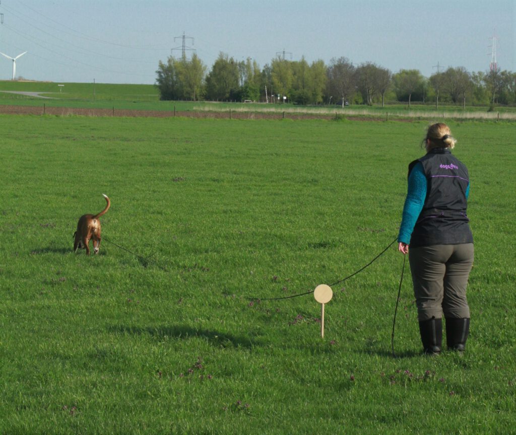 Frühjahrsprüfung Moers 2024