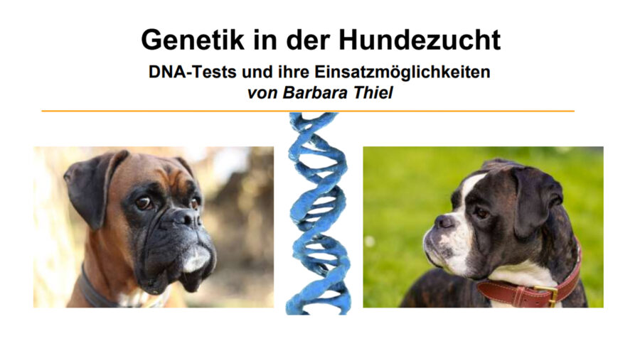 Vortrag Genetik in der Hundezucht