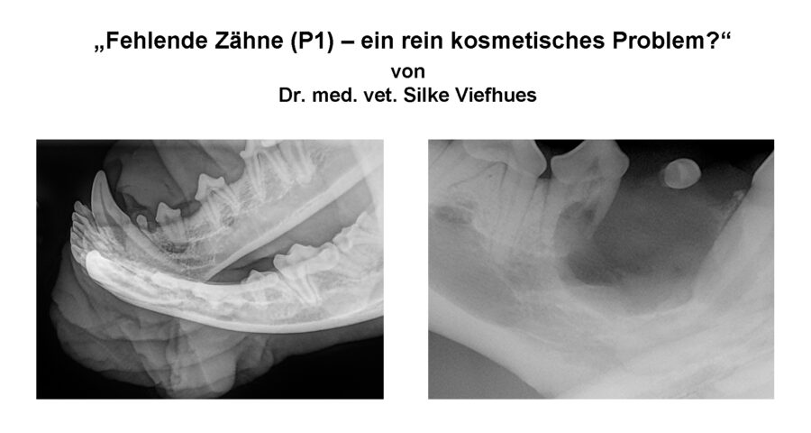 Vortrag „Fehlende Zähne (P1) – ein rein kosmetisches Problem?“