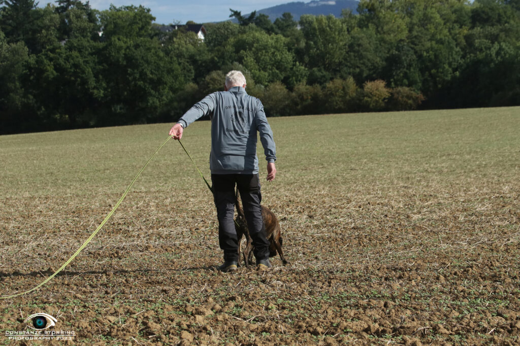 Landesgruppen-Ausscheidungsprüfung FCI-IFH 2023 Gruppe Wachtberg-Villip