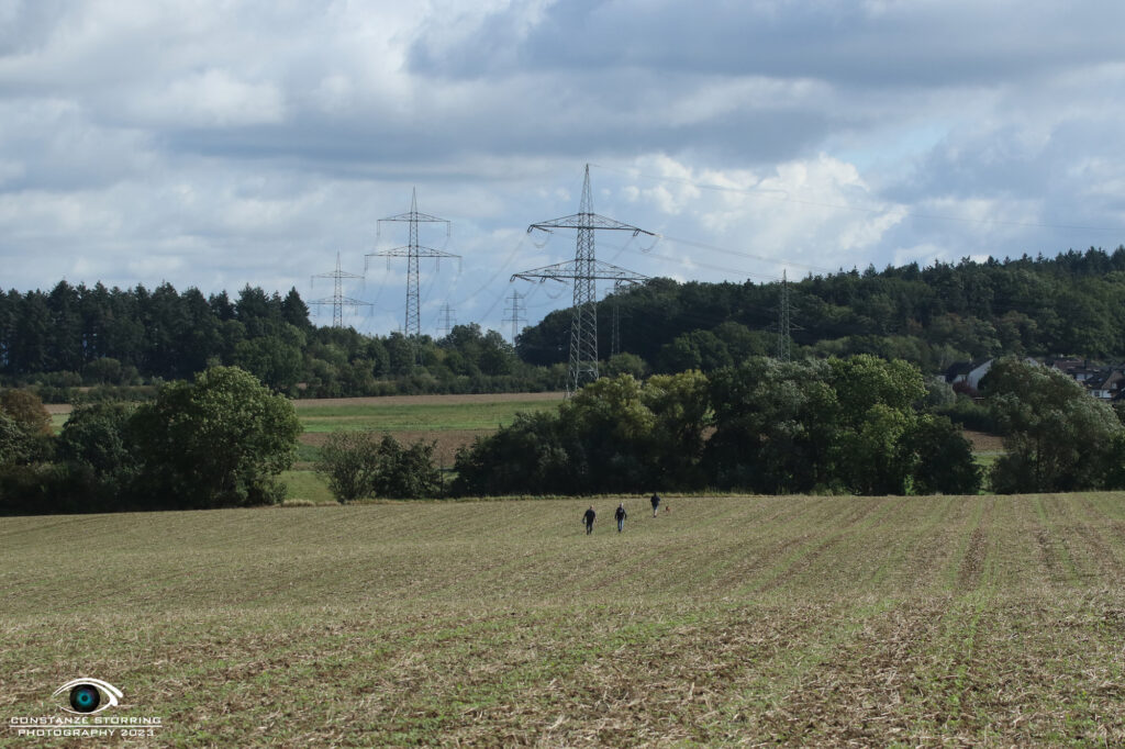 Landesgruppen-Ausscheidungsprüfung FCI-IFH 2023 Gruppe Wachtberg-Villip