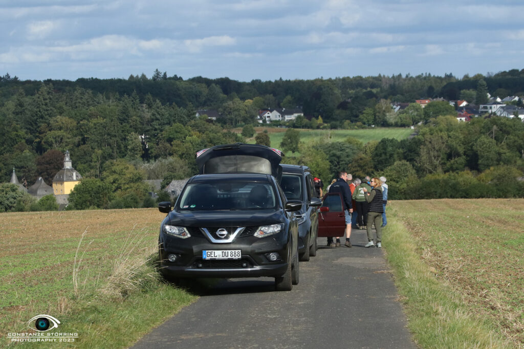 Landesgruppen-Ausscheidungsprüfung FCI-IFH 2023 Gruppe Wachtberg-Villip