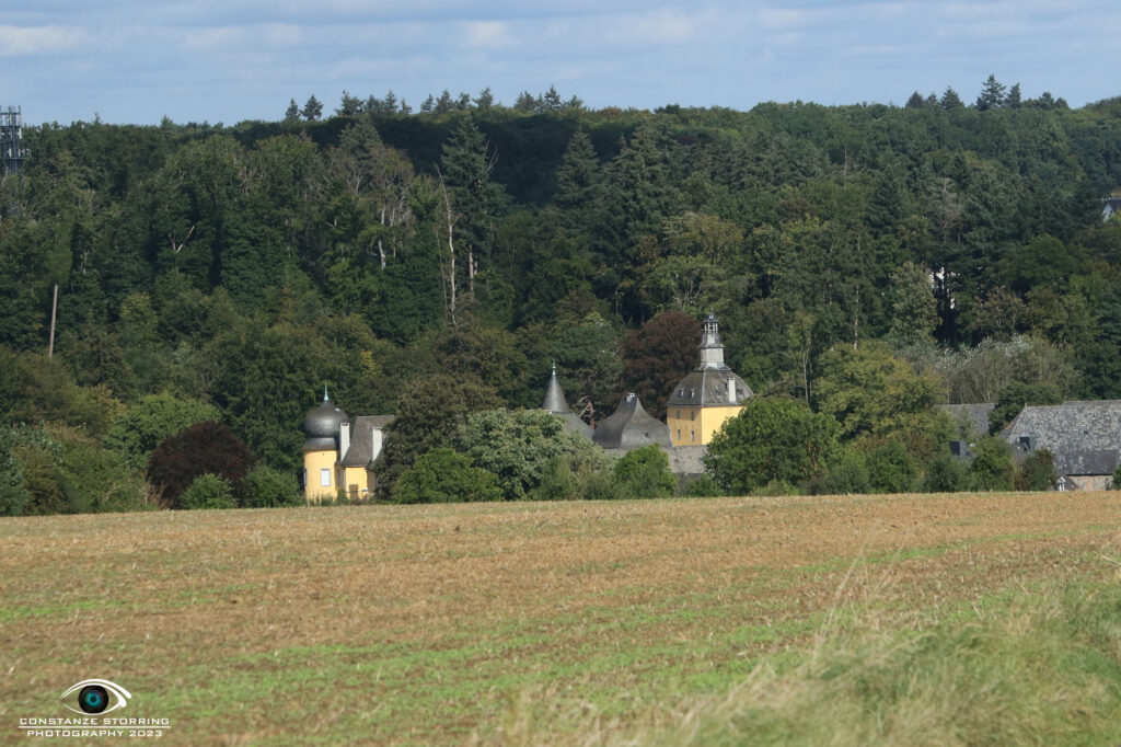 Landesgruppen-Ausscheidungsprüfung FCI-IFH 2023 Gruppe Wachtberg-Villip