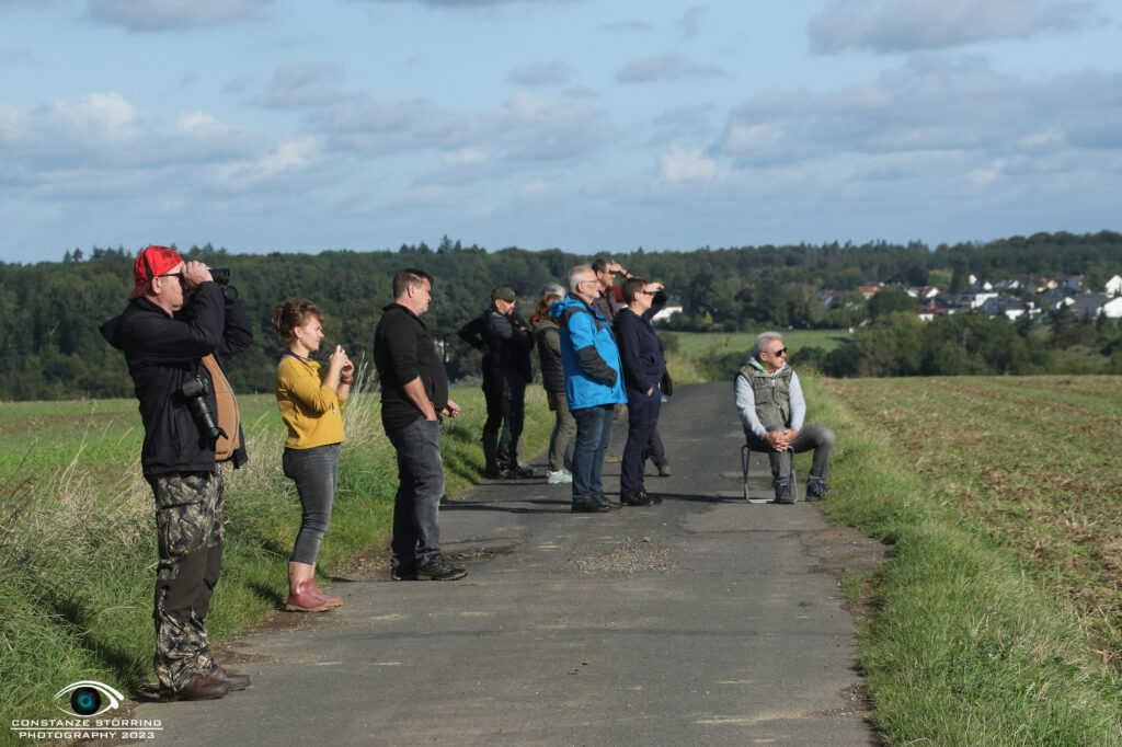 Landesgruppen-Ausscheidungsprüfung FCI-IFH 2023 Gruppe Wachtberg-Villip