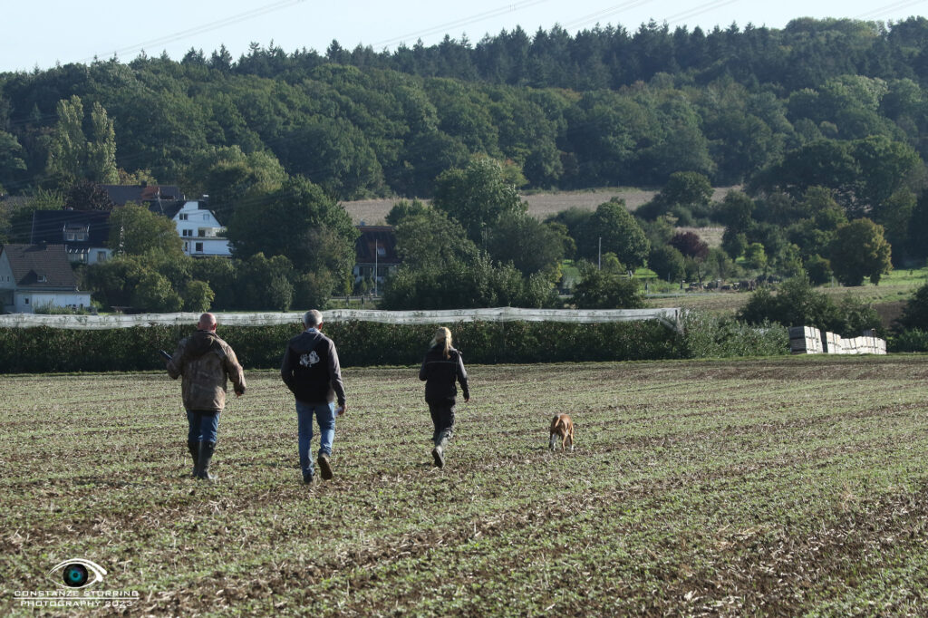 Landesgruppen-Ausscheidungsprüfung FCI-IFH 2023 Gruppe Wachtberg-Villip