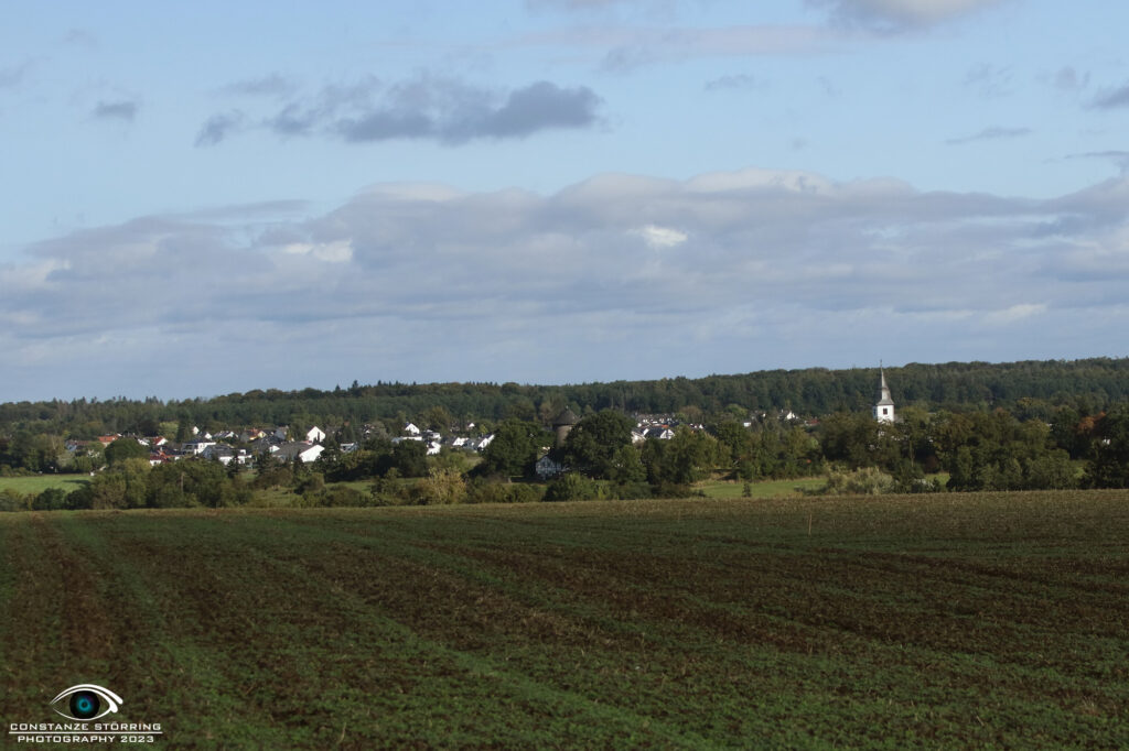 Landesgruppen-Ausscheidungsprüfung FCI-IFH 2023 Gruppe Wachtberg-Villip