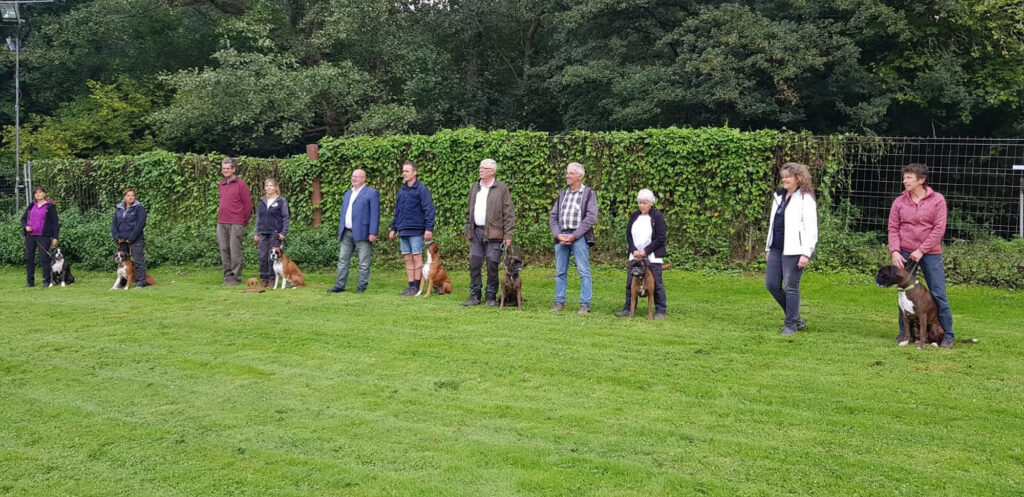 Landesgruppen-Ausscheidungsprüfung FCI-IFH 2023 Gruppe Wachtberg-Villip