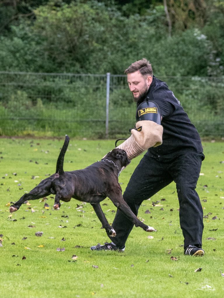 Qualifikationsprüfung am 27.08.2023 in Kempen