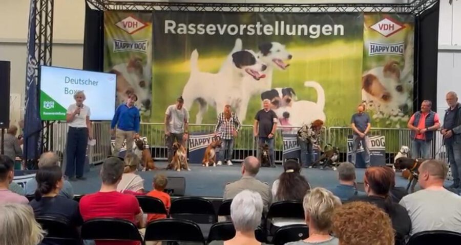 Dogs & Fun 2024