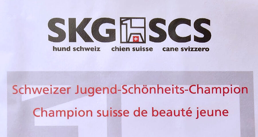Lollo Schweiz