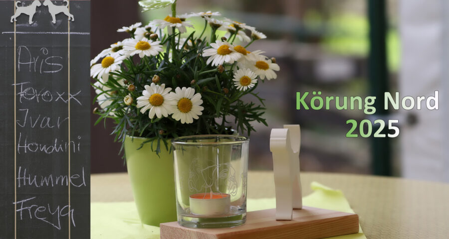 Körung Nord 2025