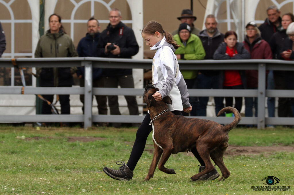 DJJM 2025 Kalletal Zoe Schmidt mit Elli vom Birgelner Wäldchen