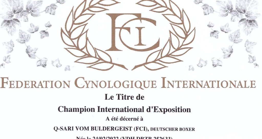 Q-Sari FCI-Champion Titel