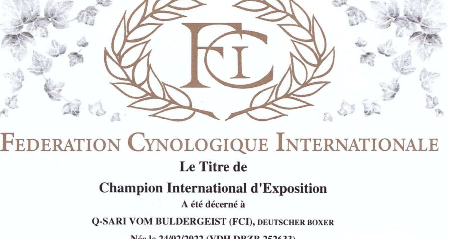 Q-Sari FCI-Champion Titel